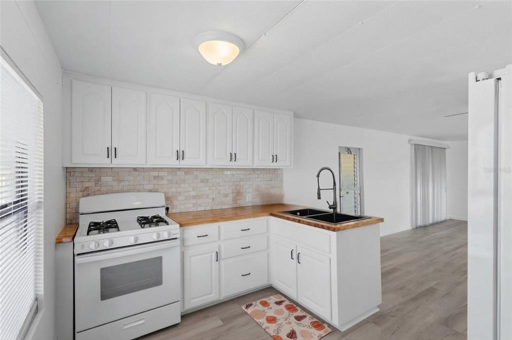 Property for sale at 10004 HAMP DRIVE, DADE CITY, FL, 33525