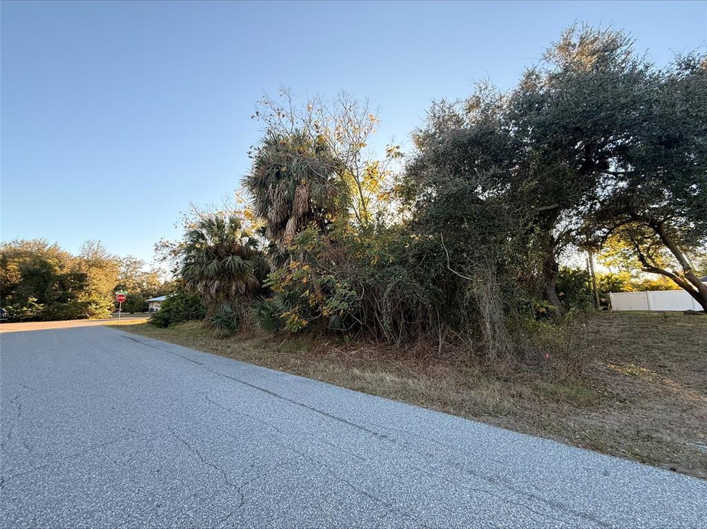 Buildable homesite in established neighborhood