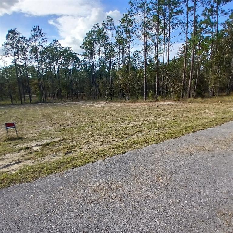 Property for sale at NARCISSUS, DUNNELLON, FL, 34431