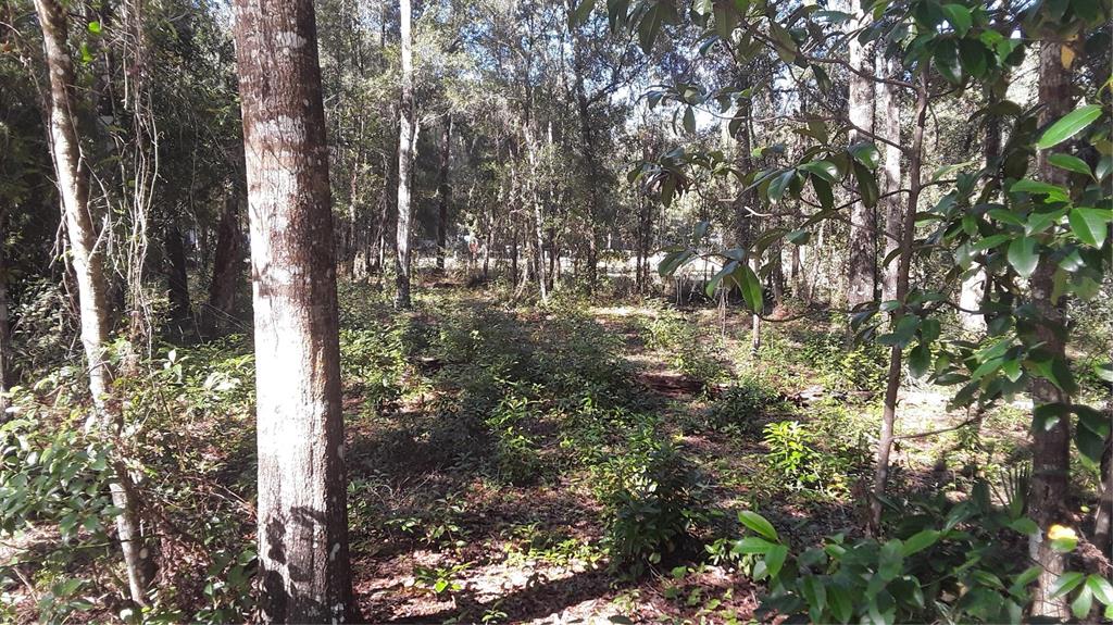 Property for sale at 1408 SCRUB JAY STREET, LAKE PLACID, FL, 33852