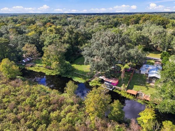 Property for sale at 11717 E SALMON DRIVE, FLORAL CITY, FL, 34436