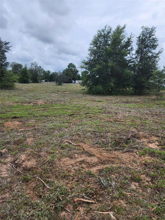 Property for sale at 4975 E TRISS STREET, INVERNESS, FL, 34452