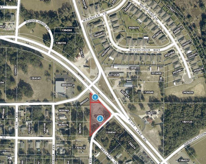 Property for sale at E MYERS BOULEVARD, MASCOTTE, FL, 34753
