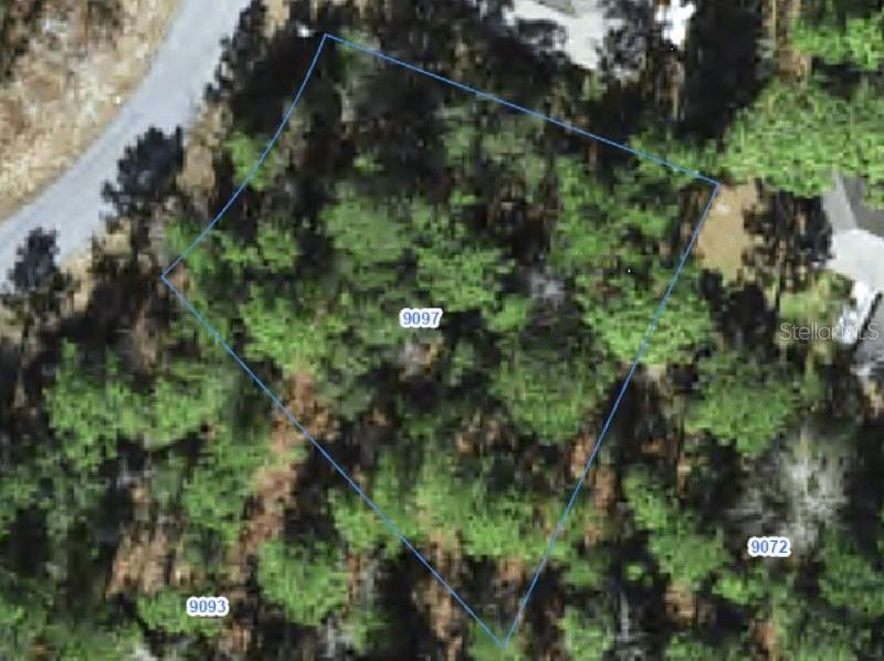 Property for sale at 9097 N SAPONARIA DRIVE, CITRUS SPRINGS, FL, 34433