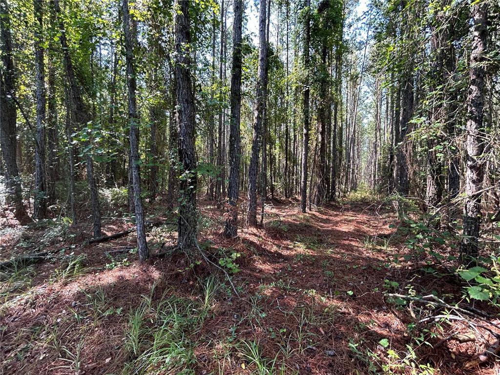 Property for sale at 709 GEORGETOWN DENVER ROAD, CRESCENT CITY, FL, 32112