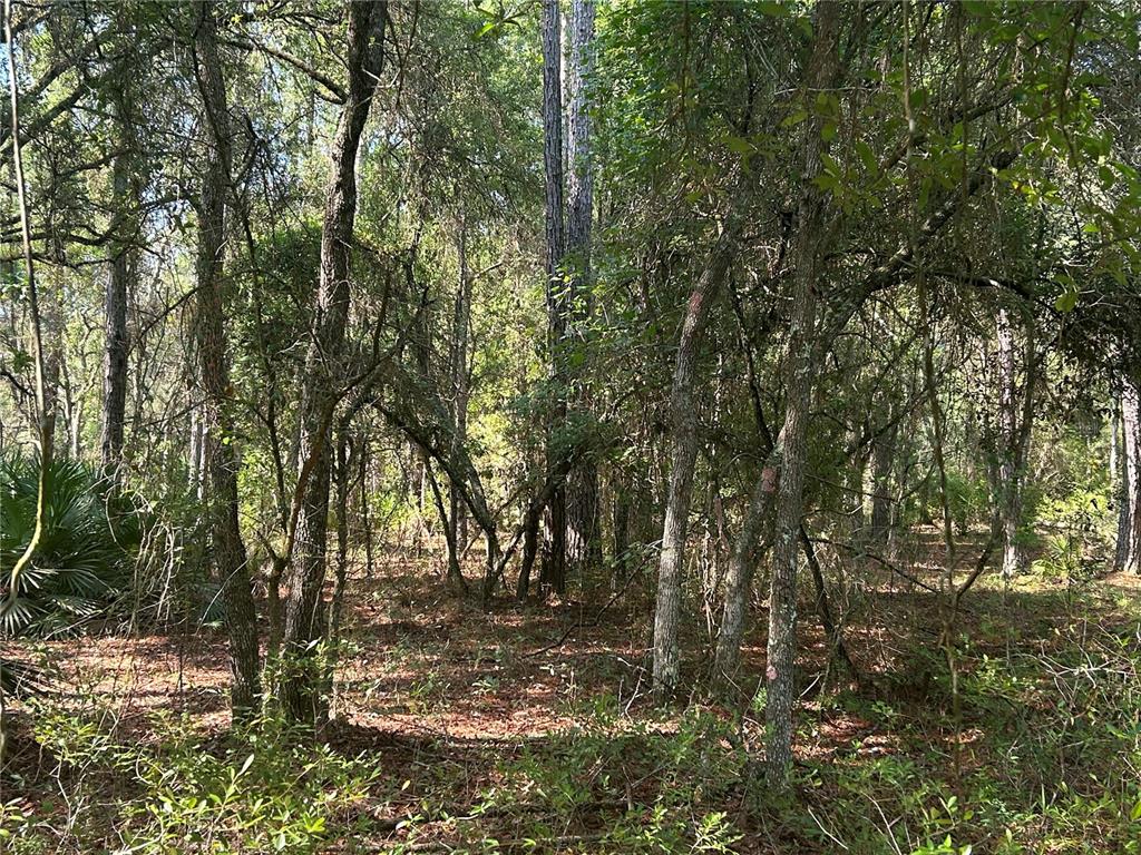 Property for sale at 709 GEORGETOWN DENVER ROAD, CRESCENT CITY, FL, 32112