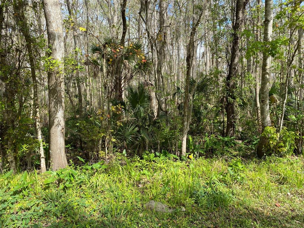 Property for sale at 709 GEORGETOWN DENVER ROAD, CRESCENT CITY, FL, 32112