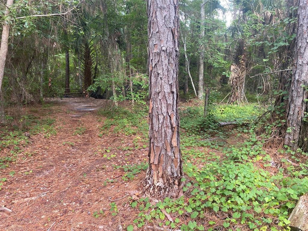 Property for sale at 709 GEORGETOWN DENVER ROAD, CRESCENT CITY, FL, 32112