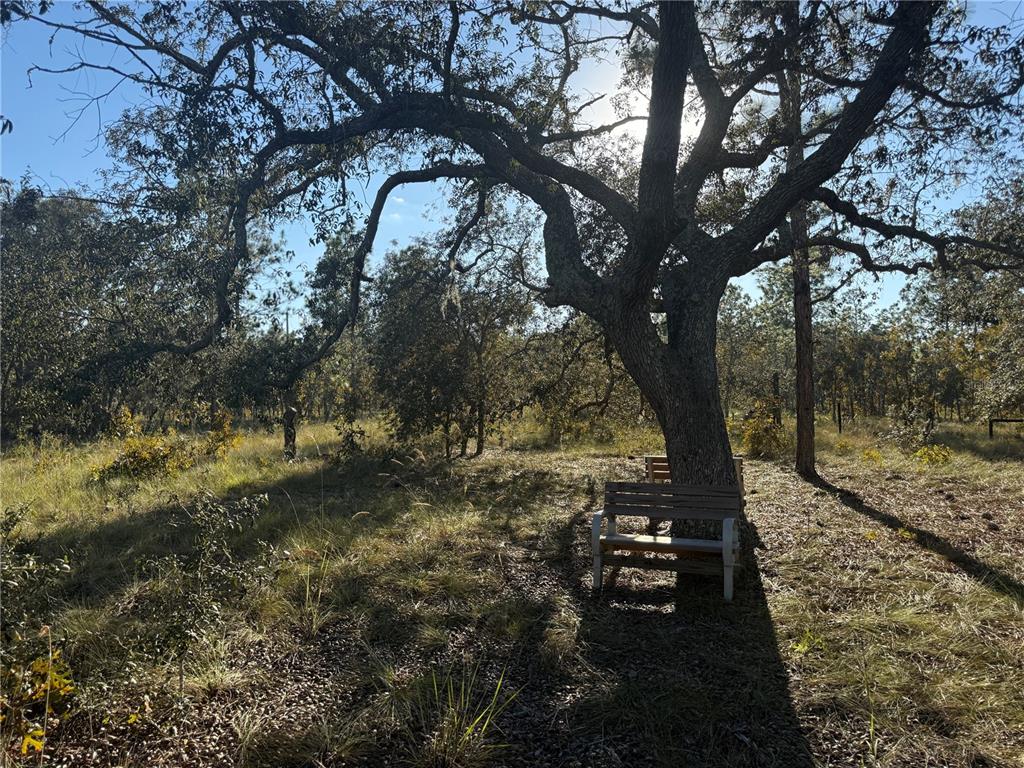 Property for sale at 00 SE 73RD LANE, MORRISTON, FL, 32668