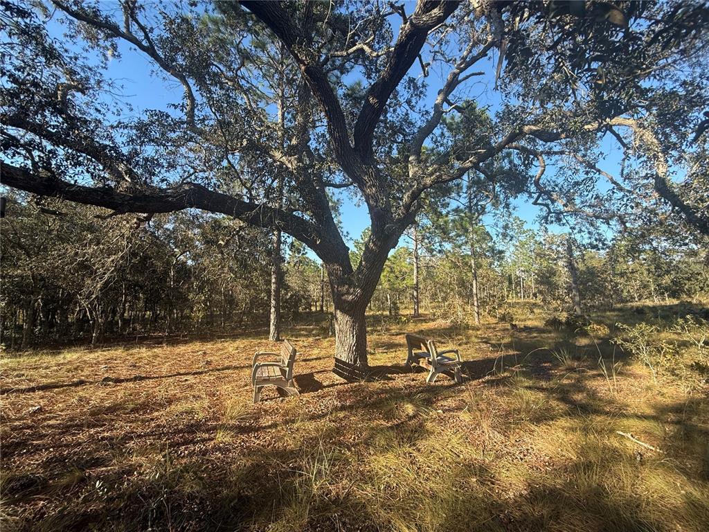 Property for sale at 00 SE 73RD LANE, MORRISTON, FL, 32668