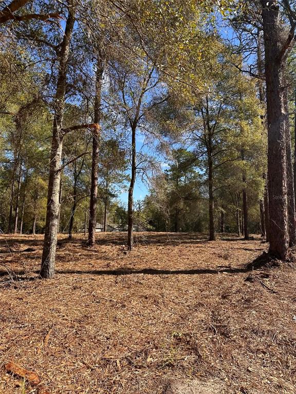 Property for sale at 0 W HWY 40, OCALA, FL, 34481