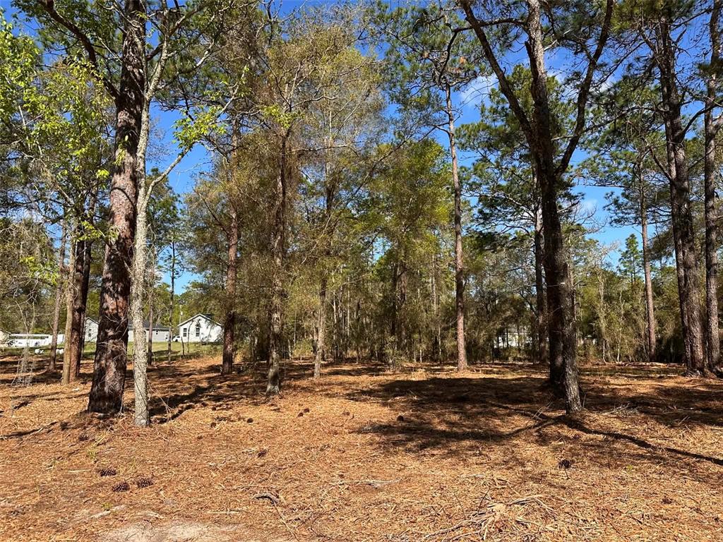 Property for sale at 0 W HWY 40, OCALA, FL, 34481