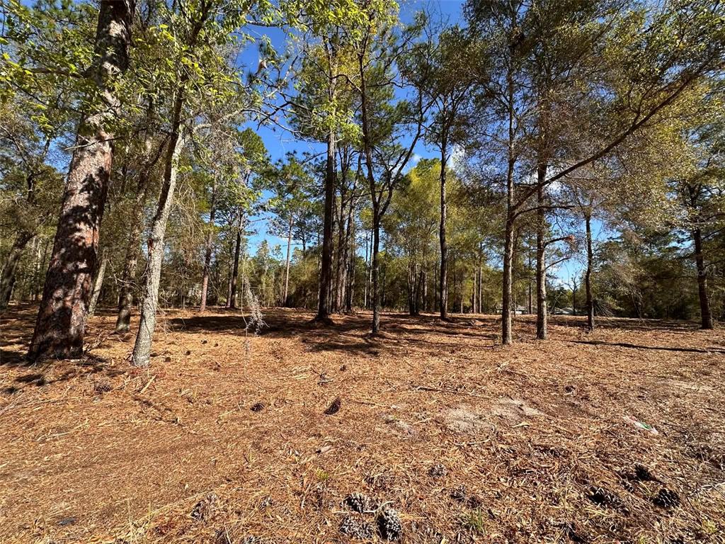 Property for sale at 0 W HWY 40, OCALA, FL, 34481
