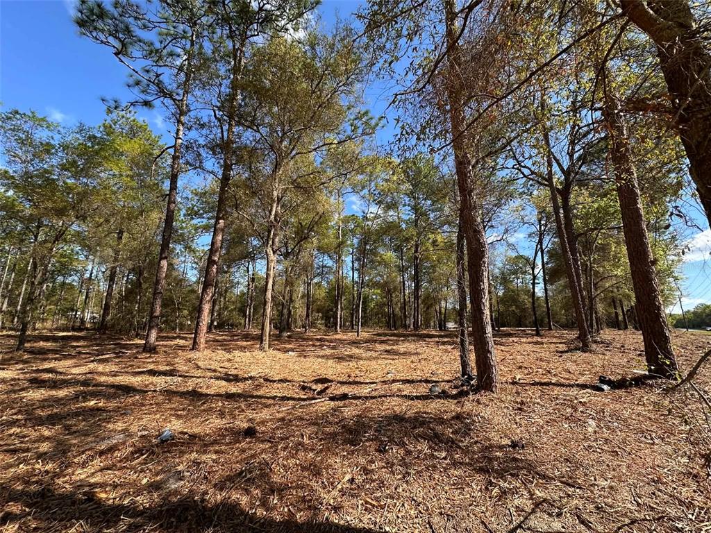 Property for sale at 0 W HWY 40, OCALA, FL, 34481
