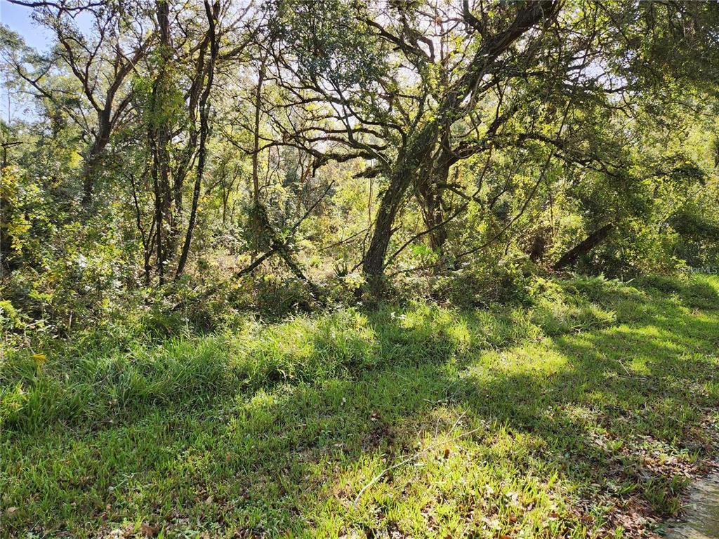 Property for sale at 000 TABLE ROCK DRIVE, WEBSTER, FL, 33597