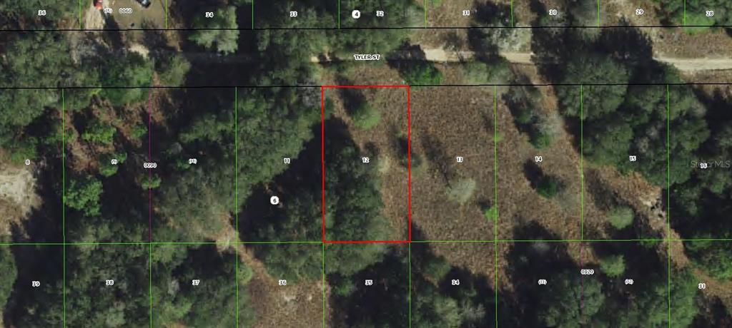 Property for sale at 2409 TYLER STREET, INVERNESS, FL, 34453