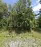 Property for sale at 245 N ROMERO STREET, CLEWISTON, FL, 33440