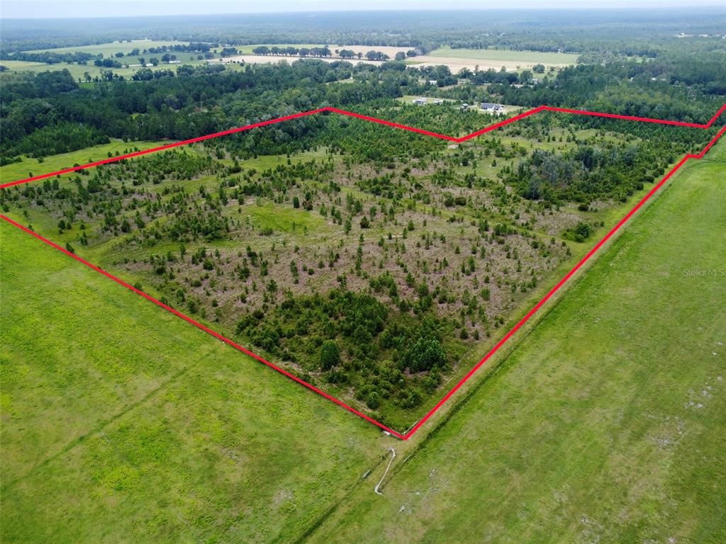 Property for sale at TBD CR 235, BROOKER, FL, 32622