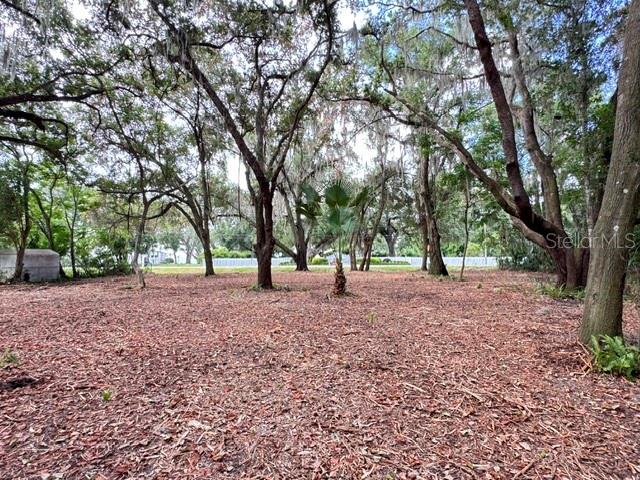 Property for sale at E HWY 25, OCKLAWAHA, FL, 32179