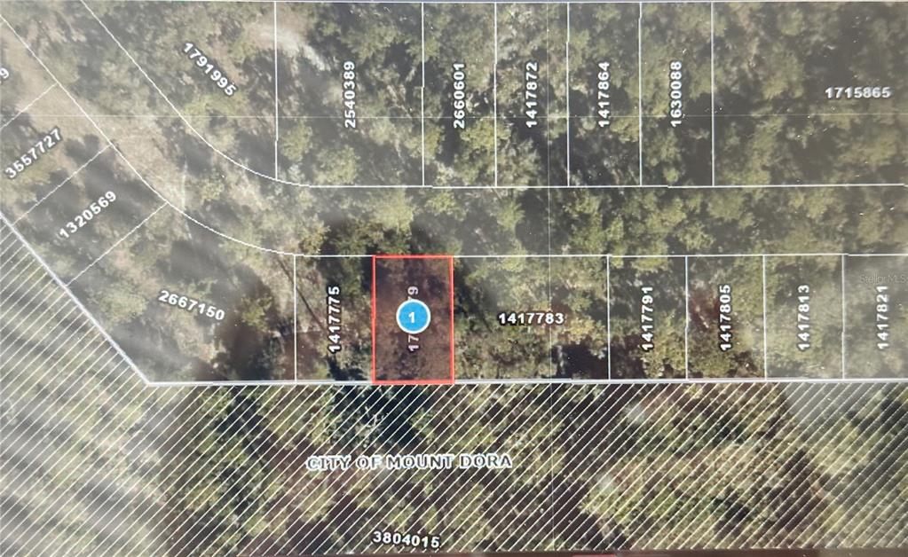 Property for sale at Lot 34 WOLF BRANCH RD, MOUNT DORA, FL, 32757