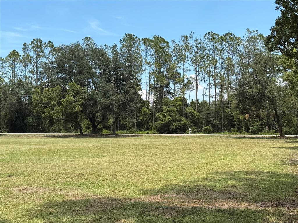 Property for sale at BELLAMY BROTHERS BOULEVARD, DADE CITY, FL, 33525
