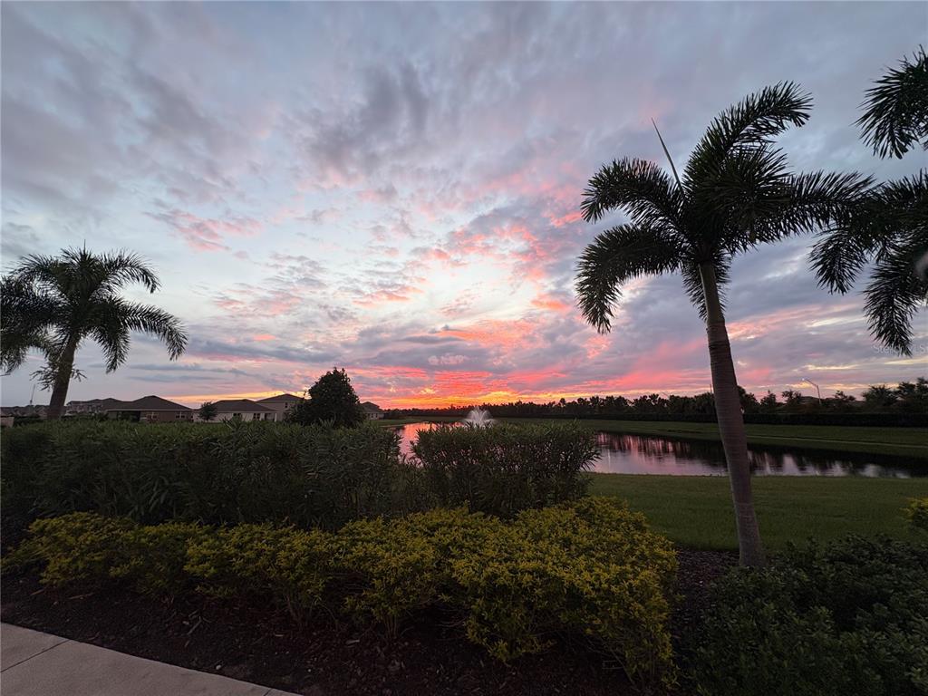 Sunset View
