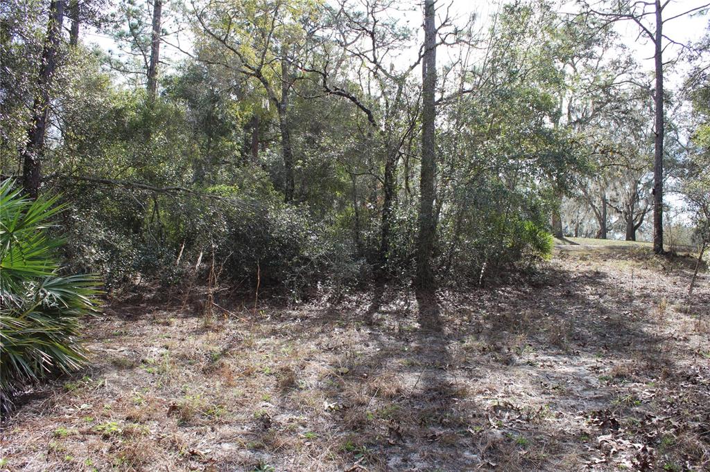 Property for sale at 34273 BELT DRIVE, DADE CITY, FL, 33523