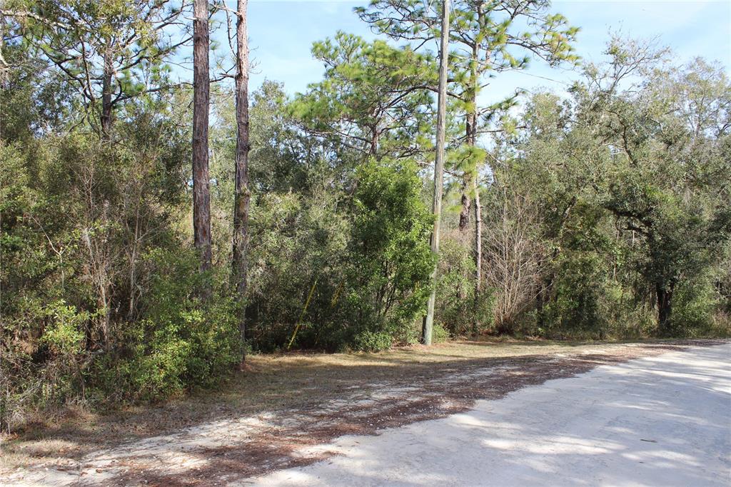 Property for sale at 34273 BELT DRIVE, DADE CITY, FL, 33523