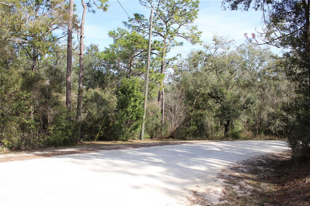 Property for sale at 34273 BELT DRIVE, DADE CITY, FL, 33523