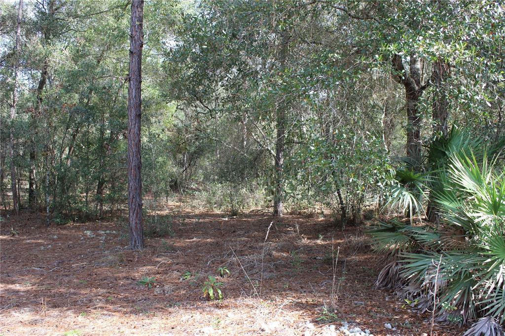 Property for sale at 34273 BELT DRIVE, DADE CITY, FL, 33523