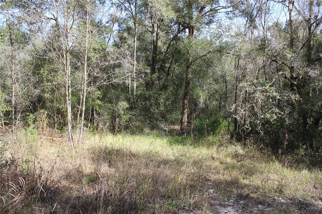Property for sale at 34273 BELT DRIVE, DADE CITY, FL, 33523