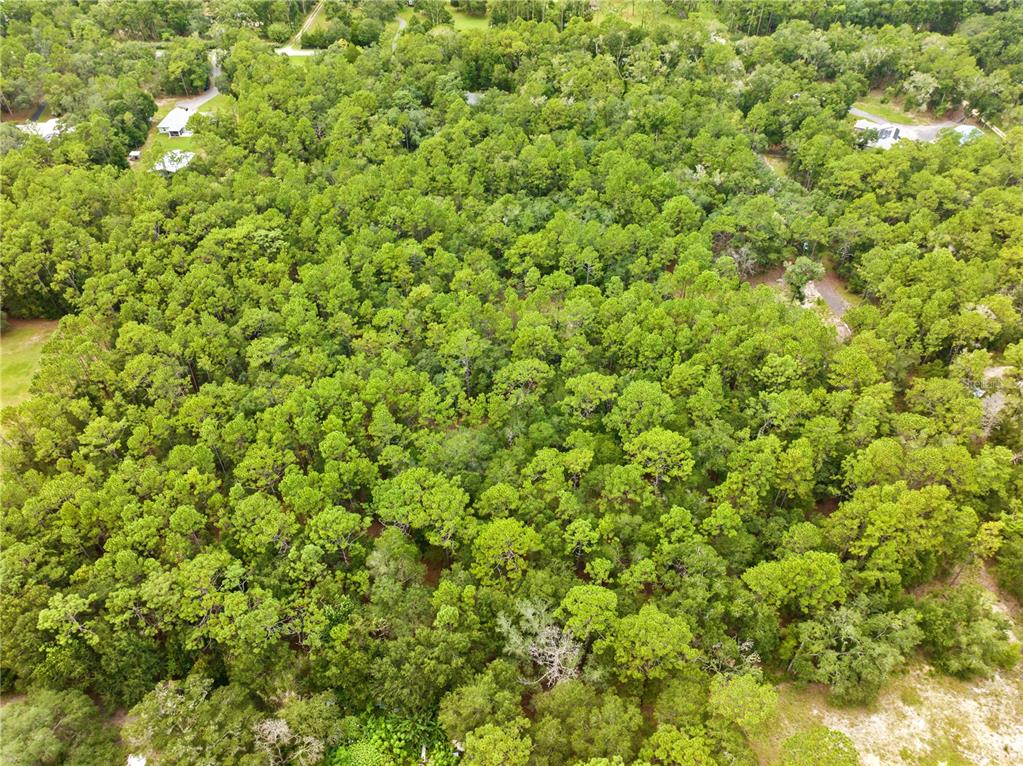 Property for sale at 0 SHAVER DRIVE, BROOKSVILLE, FL, 34601