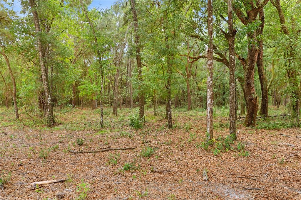 Property for sale at 0 SHAVER DRIVE, BROOKSVILLE, FL, 34601