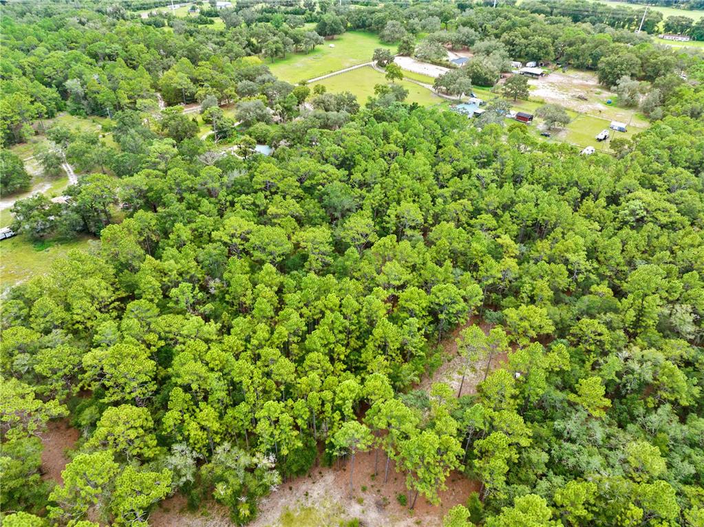 Property for sale at 0 SHAVER DRIVE, BROOKSVILLE, FL, 34601