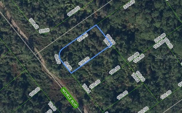 Wooded lot for sale, imagine yourself here!