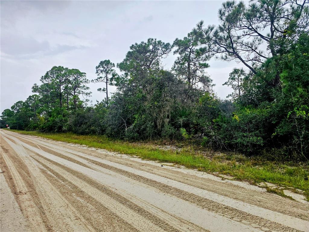 Lot for sale on graded-county maintained road.
