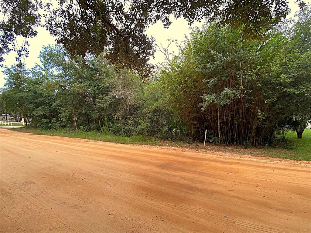 Property for sale at DOGWOOD WAY, LADY LAKE, FL, 32159