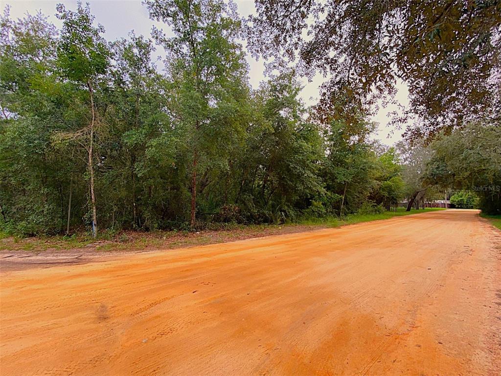 Property for sale at DOGWOOD WAY, LADY LAKE, FL, 32159