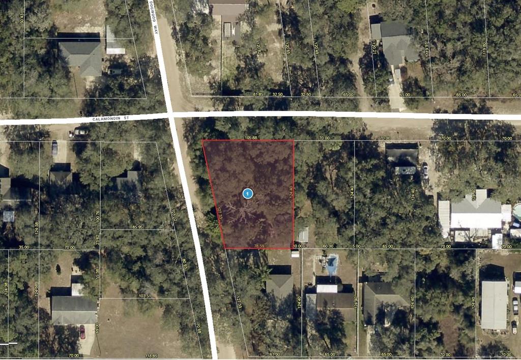 Property for sale at DOGWOOD WAY, LADY LAKE, FL, 32159