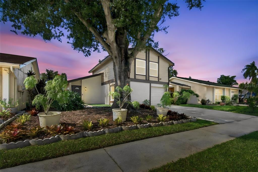 Property for sale at 4830 GROVE POINT DRIVE, TAMPA, FL, 33624