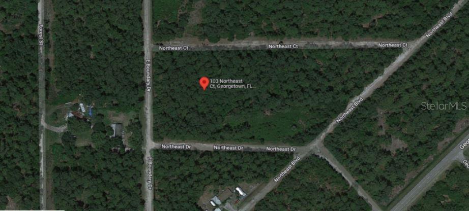 Property for sale at 103 NORTHEAST COURT, GEORGETOWN, FL, 32139