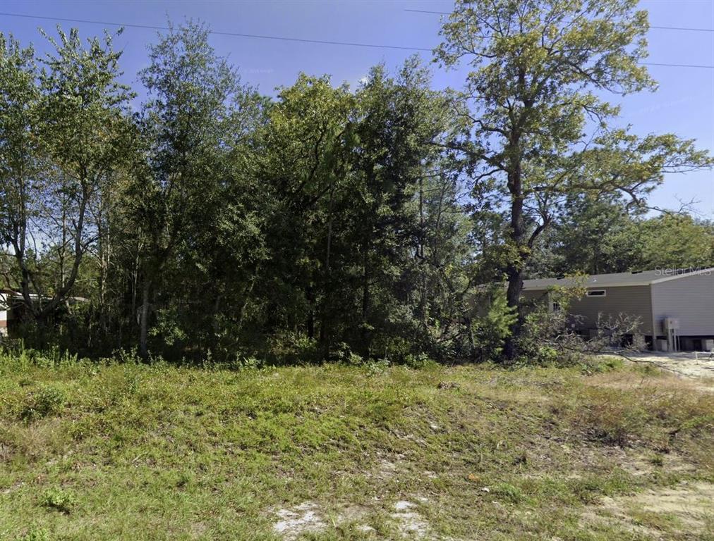 Property for sale at DAWN AVENUE, INTERLACHEN, FL, 32148