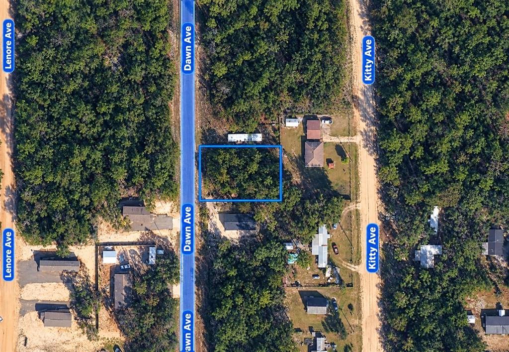 Property for sale at DAWN AVENUE, INTERLACHEN, FL, 32148