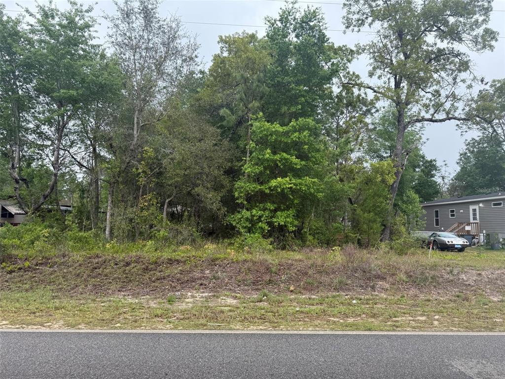 Property for sale at DAWN AVENUE, INTERLACHEN, FL, 32148