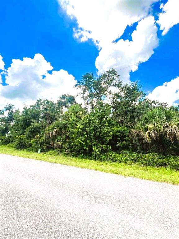 View of the Lot!! Buy Two Lots and Create Almost Half an Acre!!
