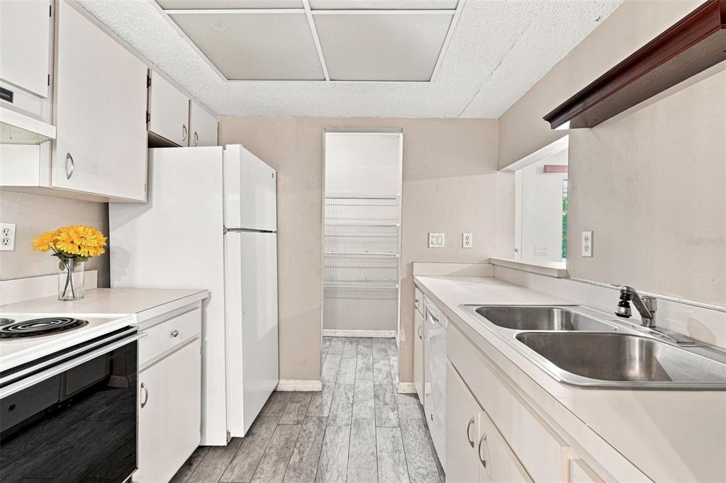 Large Galley Kitchen With Walk In Pantry