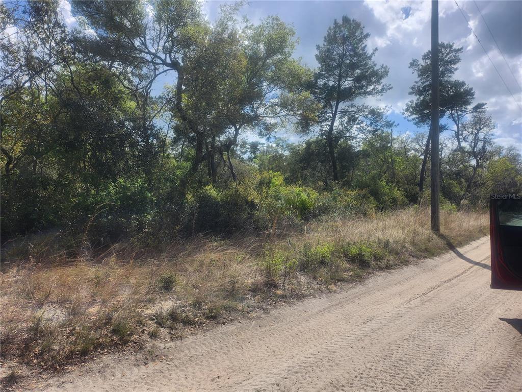 Property for sale at TBD NE 236 LANE, ORANGE SPRINGS, FL, 32182