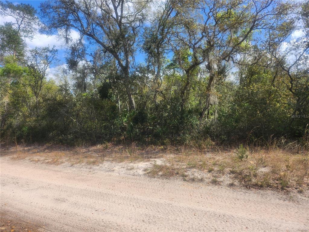 Property for sale at TBD NE 236 LANE, ORANGE SPRINGS, FL, 32182