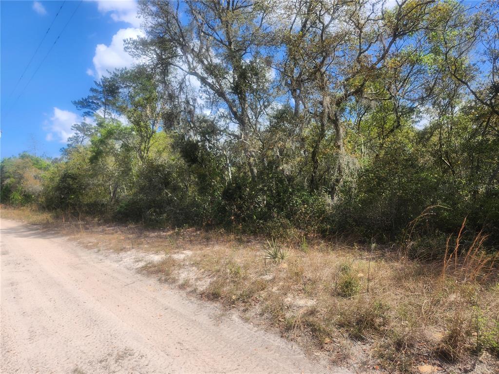 Property for sale at TBD NE 236 LANE, ORANGE SPRINGS, FL, 32182
