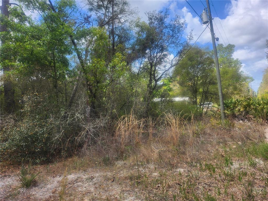 Property for sale at TBD NE 236 LANE, ORANGE SPRINGS, FL, 32182